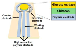 Chitosan membrane을 이용한 PEDOT:PSS 기반 글루코스 센서 도식화