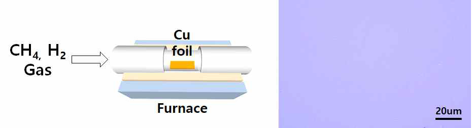 그래핀 합성을 위한 화학기상증착 공정 도식화 및 실리콘 웨이퍼 위 전사된 그래핀의 광학현미경 이미지