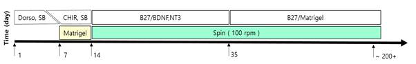 Ming method time line