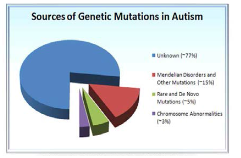 ASD의 유전적 원인들의 분류 (Guo H et al., 2011 의 data를 토대로 작성된 도식)