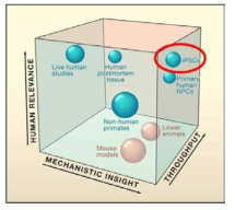 각 실험 접근법들 중 iPSCs이 차지하고 있는 위치 (Dolmetsch R et al., 2011)