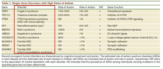 ASD와 관련 있는 단일 유전자 질환들 (붉은 박스의 질환명 참고, Kelleher RJ et al., 2008)