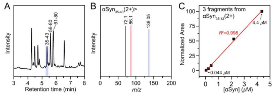 다중 반응 검출법을 이용한 αSyn 단량체의 정량 분석. A. 액체크로마토그래피-질량분석법을 통한 분리 및 검출. B. 다중 반응 검출법 분석법. C. αSyn 단량체의 정량 검정 곡선