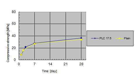 PLC 17.5의 압축강도 특성
