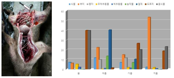 멧돼지 위 수집 및 서울지역 위 내용물 분석 결과