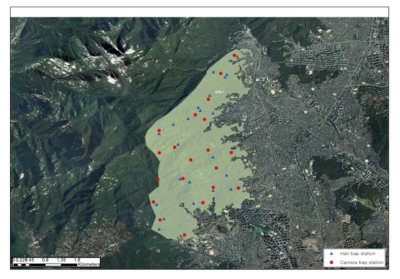 개체수 추정을 위한 표본 지역 내 털 수집 위치 및 카메라 설치 위치(붉은색: 카메라 설치, 파란색 : 유전자 수집)