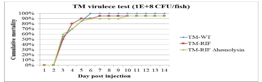 Virulence comparison of TM wild type, TM-Rif and TM-Rif-ΔHemolysin strains