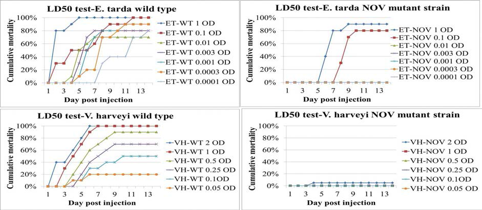 LD50 test for ET and VH mutant strains