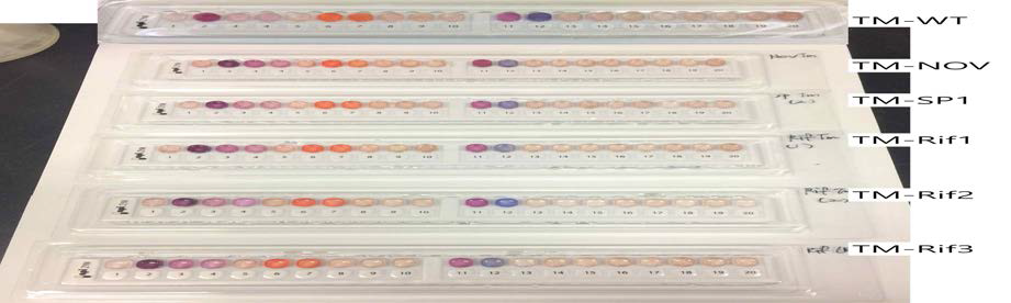 Biochemical assay of different TM strains