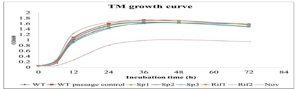 Growth performance of different TM strains in marine broth at 20 °C