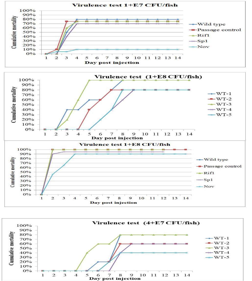 Virulence test result of different TM strain via IP injection challenge