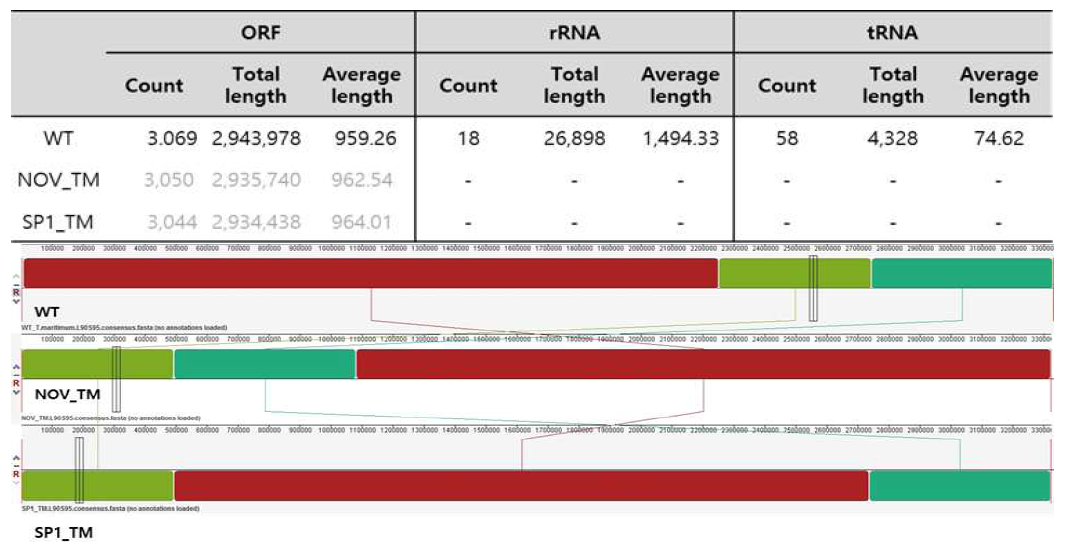 Whole-genome comparison of three TM strains for virulence factor identification