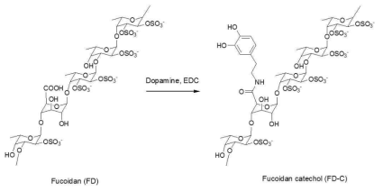 후코이단 카테콜 합성을 위한 화학반응 모식도