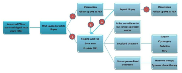 전립선암의 진단 및 치료 선택트리(decision making tree)