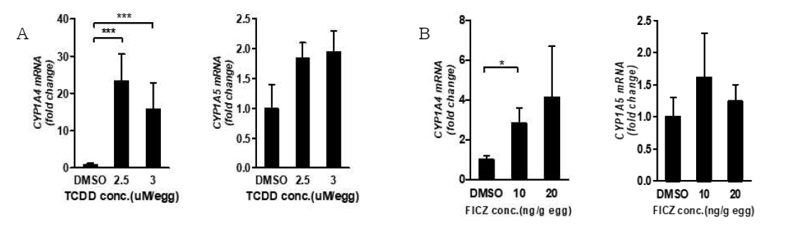 닭 배아의 면역기관인 흉선에서 AHR의 하위 타겟 유전자인 CYP1A4와 CYP1A5의 mRNA의 발현양 변화(A, B)(*; p<0.05, ***; p<0.0001)