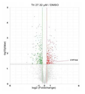 1,3,7-TriBDD 투여 닭 배아의 간조직에서 추출한 전체 RNA의 전사체 분석 결과. p-value 0.05 미만, 대조군 (DMSO 투여) 대비 1.3배 이상 발현이 상하 조절된 전사체 499개 (259개 상향조절, 240개 하향조절 전사체)가 분류되었음