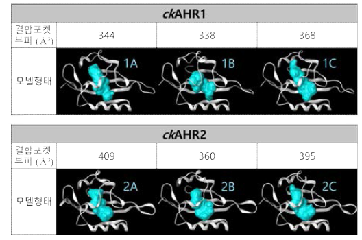 ckAHR1, ckAHR2의 호몰로지 모델 구축 정보