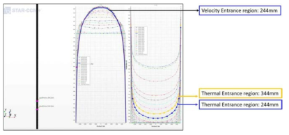 Entrance region CFD 분석 결과