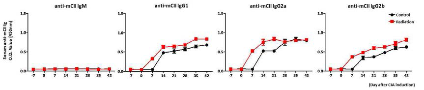 Anti-type II collagen antibodies of sera was found early time point