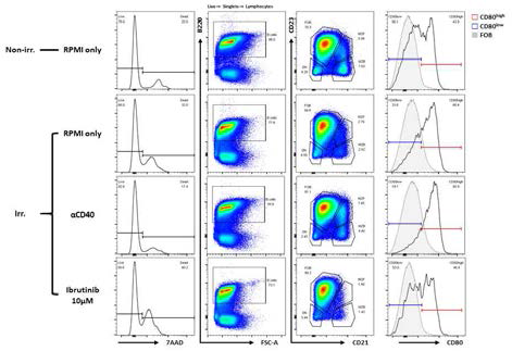CD40 and BCR signal contributed radio-resistance of CD80high MZ B cells