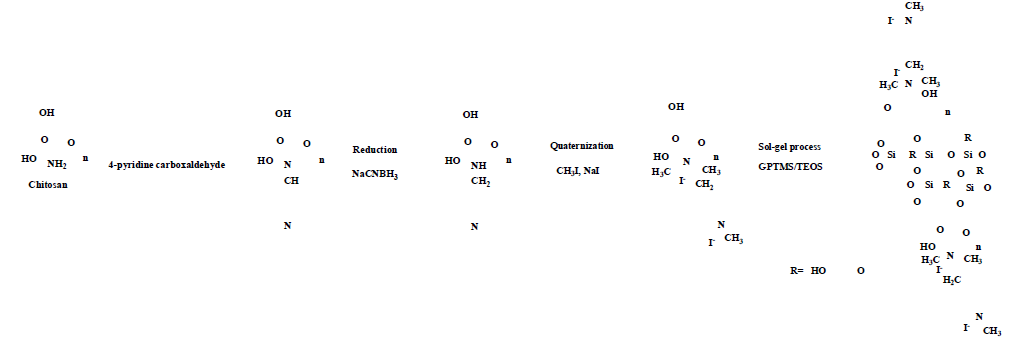 Anion exchange membrane의 모식도