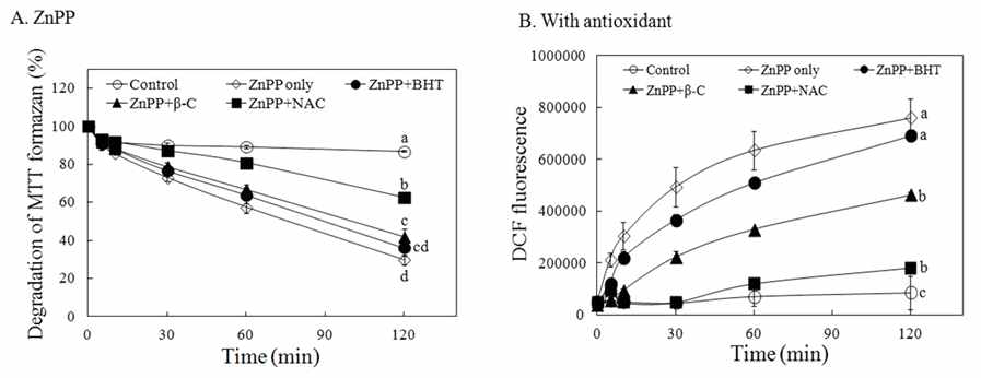 Effects of different antioxidants on degradation of MTT formazan and DCF fluorescence by ZnPP. MTT formazan was incubated with different antioxidants in the absence or presence of ZnPP for 2 h under light condition (A). Changes in photosensitizing properties of ZnPP (10 μM) by different antioxidants (50 μM) were analyzed using the DCF fluorescence (B)