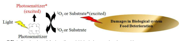 Deterioration of food quality and biological system by photosensitizers