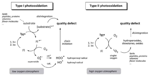 Mechanisms of type I and II photooxidation (Fl=photosensitizer, adopted from a ref 7)