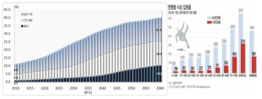 고령자의 낙상 사고 증가율 및 입원율