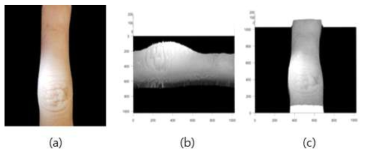 조명에 의한 부정확한 3D 피부 표면 복원: (a) 2D 입력 피부 영상, (b)와 (c) height map 알고리즘으로 복원된 부정확한 3D 피부 표면