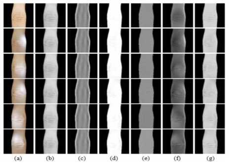 다른 methods들과 our method비교 (2D), (a) input, (b) reference, (c) LDCT [6], (d) SSR [7], (e) TT [8], (f) CIDRE [9], and (g) our method