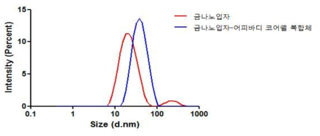 금 나노입자 및 어피바디-금 나노입자 사이즈 결과