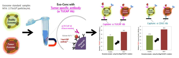 엑소좀 분리/농축 기술을 기반으로 면역분석을 통한 암 진단 활용 가능성 평가