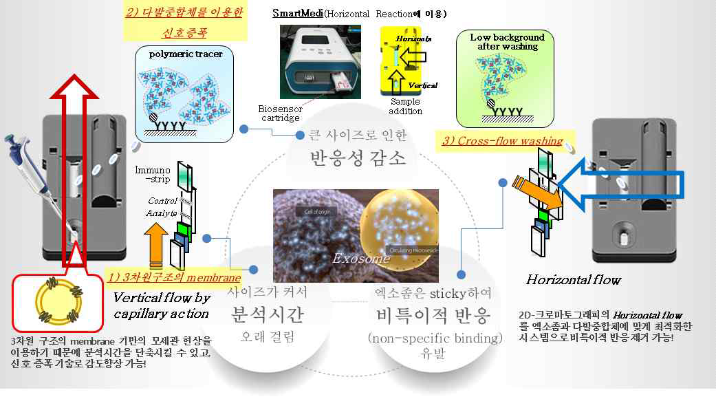 엑소좀 분석 시 문제점(장시간 분석, 반응성 감소 및 비특이적 반응) 요약 및 본 연구팀의 신속 정량분석 플랫폼(Exo-Sensor)을 통한 해결방안 요약