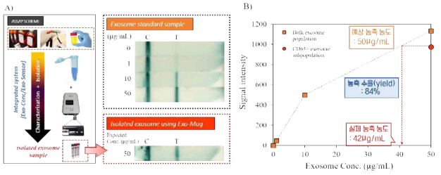 Exo-Mag를 이용하여 분리된 엑소좀 샘플을 Exo-Sensor로 정량하여 분리 수율 확인