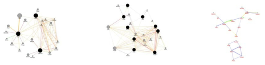 생물정보학적인 정보들이 유기적으로 통합된 네트워크