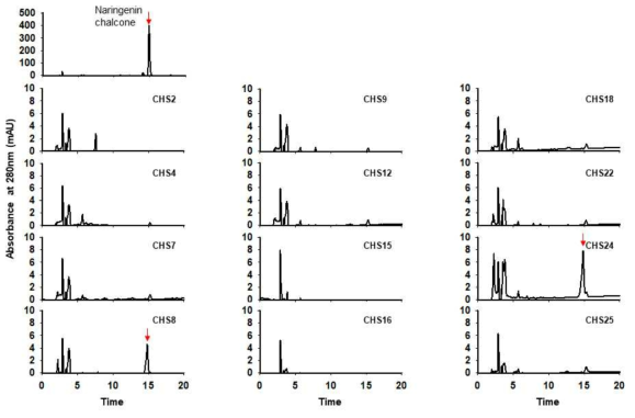 Activity assay of the recombinant OsCHSs with p-coumaroyl-CoA and malonyl-CoA substrates