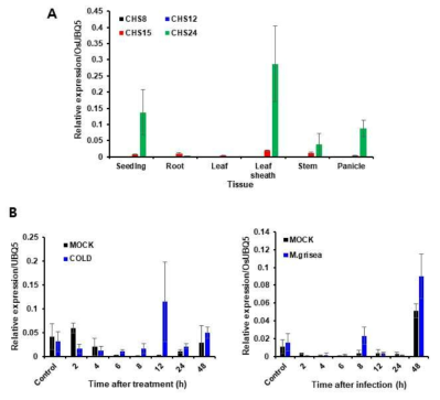 (A) Real-time PCR analysis of OsCAHS expression in different tissues. (B) Real-time PCR analysis of OsCAHS24 expression in biotic (M. grisea infection) and abiotic (cold) stress conditions