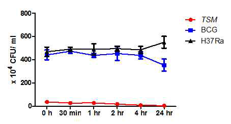 BCG, H37Ra 및 TSM이 감염된 J774A.1 세포 주에서의 시간대 별 CFU 측정 결과
