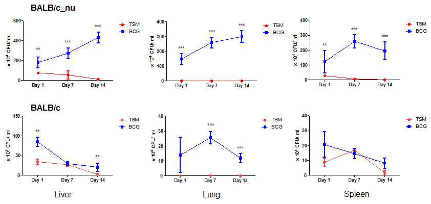 BCG 및 TSM 균주의 마우스 감염 시 (IV route, ~106 CFU), 시간에 따른 각 장기(간, 폐, 비장) 별 CFU 측 정 결과. **, p < 0.01; ***, p <0.001