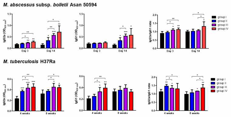 각 그룹의 마우스 혈청 내 Mab 및 Mtb 특이적인 IgG2a, IgG1 isotype 발현량과 IgG2a/IgG1 ratio를 비교한 데이터