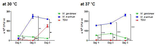 M. gordonae, M. marinum 및 TSM이 감염된 J774A.1 세포주에서 온도 및 시간대 별 CFU 측정 결과. #, M. gordonae vs. TSM; *, M. marinum vs. TSM; * or #, p < 0.05; ** or ##, p < 0.01; *** or ###, p < 0.001