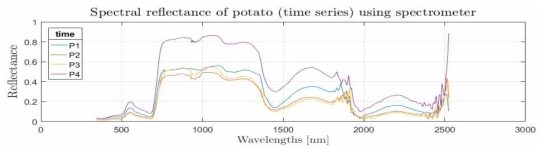 스펙트로미터를 이용하여 취득된 옥수수 및 감자 작물의 시계열 분광 그래프