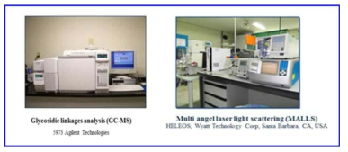 해조류 유래 IG 구조 분석을 위한 GC-MS 와 MALLS