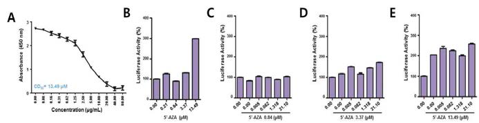 (A) EBV-양성 위암세포주의 5’-azacitidine의 Cytotoxicity를 측정한 결과 13.49 uM임을 확인함. (B) 5’-azacitidine 농도별 처리에 따른 EBV-증식성 재활성화를 Luciferase 분석으로 확인함. (C) 5’-azacitidine 0.84 uM과 Cisplatin 농도별 처리에 따른 EBV-증식성 재활성화를 Luciferase 분석으로 확인함. (D) 5’-azacitidine 3.37 uM과 Cisplatin 농도별 처리에 따른 EBV-증식성 재활성화를 Luciferase 분석으로 확인함. (E) 5’-azacitidine 13.49 uM과 Cisplatin 농도별 처리에 따른 EBV-증식성 재활성화를 Luciferase 분석으로 확인함