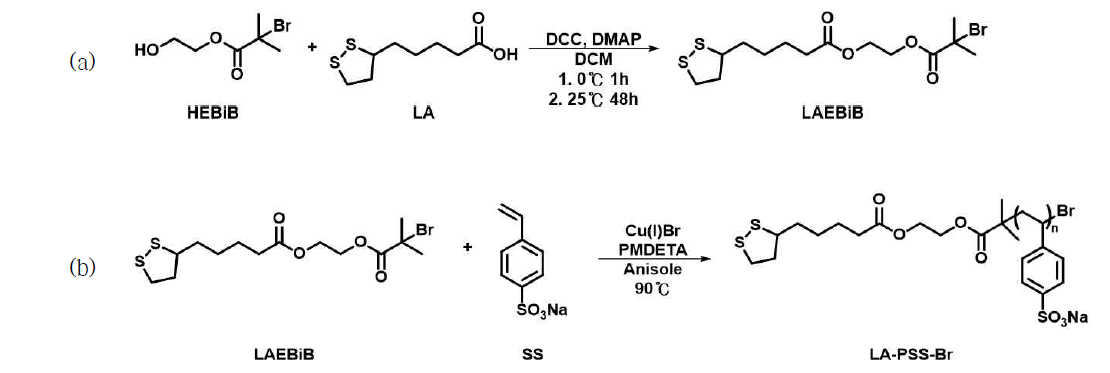 (a) HEBiB와 LA의 esterification 반응; (b) LAEBiB 개시제를 이용한 PSS 중합