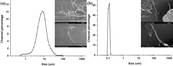 (a) CNT 분산용액 (직접 제조) (b) N社 CNT 분산용액의 입도분석 및 SEM images