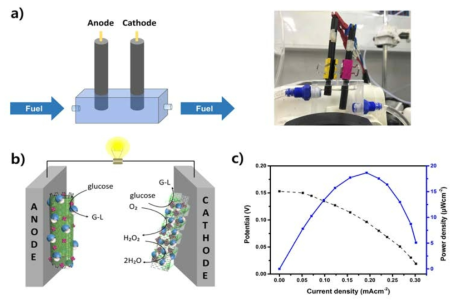 (a) 분리막 없는 유연한 원통형 EBC Kit인 Flow cell 디자인 및 prototype (b) 분리막 없는 바이오연료전지 모식도 (c) 분극선도