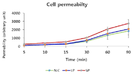 bMEC에서 DEP 농도에 따른 permeability NC; negative cotrol, LP; large particles, SP; small particle