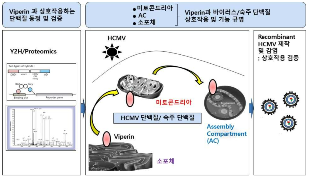연구개발과제의 개요